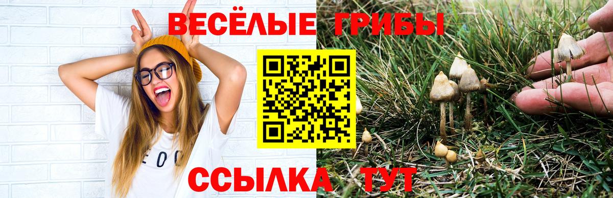 Ижевск  Галлюциногенные грибы мухоморы  Вход с VPN  Галлюциногенные грибы Magic Shrooms 